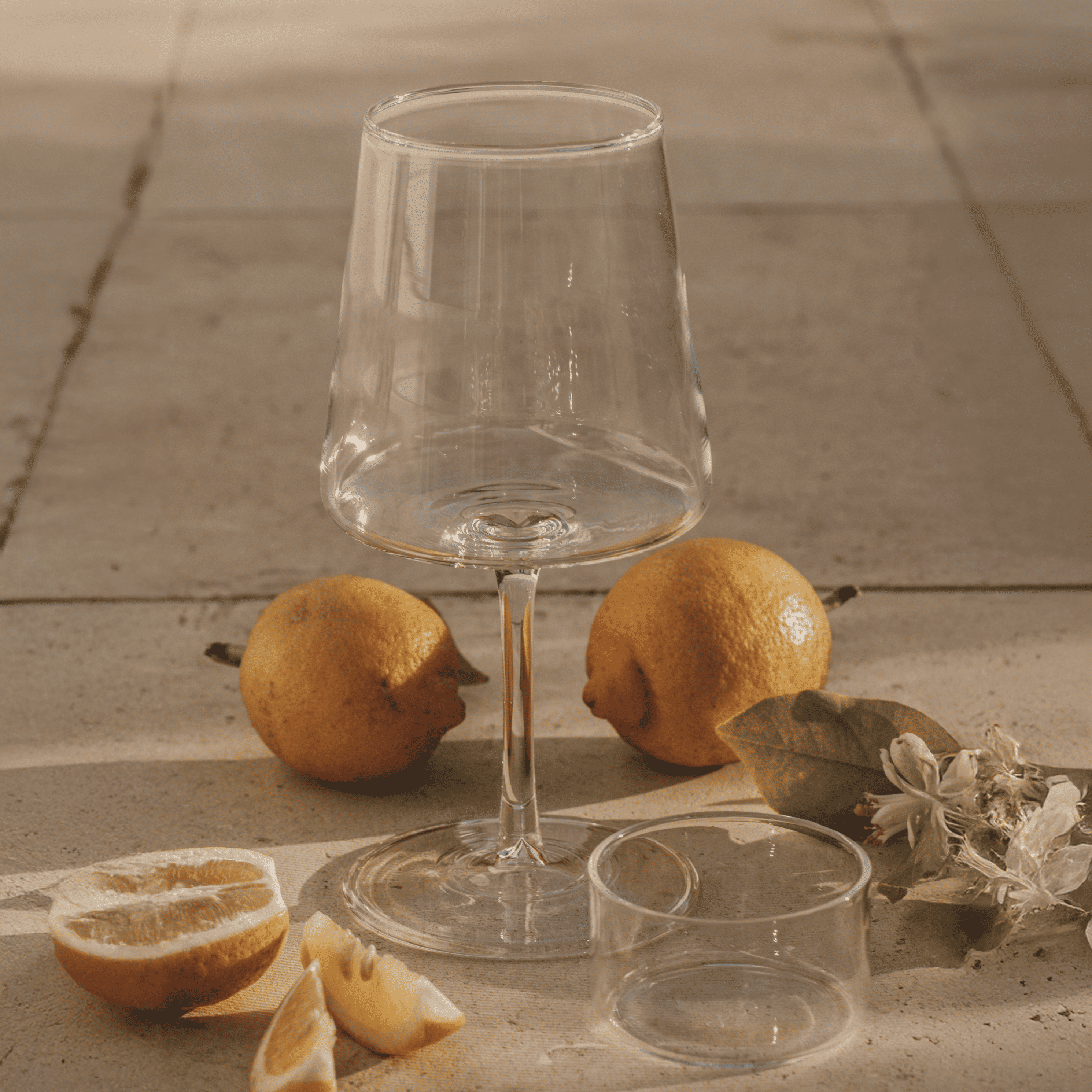 PENELOPE - Calici Vino Bianco